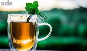 怎样用养生玻璃壶煮出美味普洱茶？
