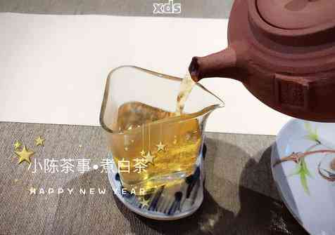 用玻璃壶煮茶的正确流程：全面解析煮茶壶采用方法与适用茶叶