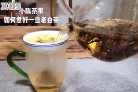 用玻璃壶煮茶的正确流程：全面解析煮茶壶采用方法与适用茶叶