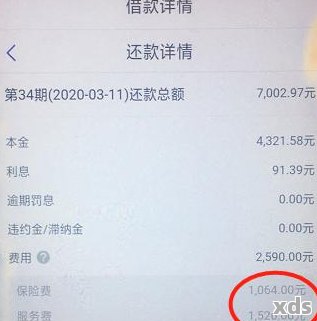 平安普贷款逾期半年：失联、收入证明造假可能涉及诈骗，还款需翻倍，影响严重，如何处理？