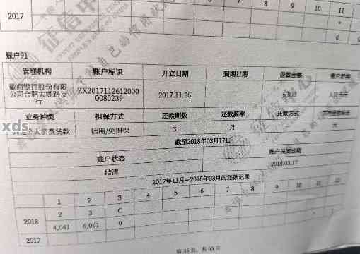 徽商银行借呗上征信显示内容及信用贷款情况