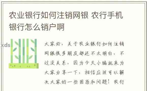 农业银行账户被冻结期间是否可以进行销户操作
