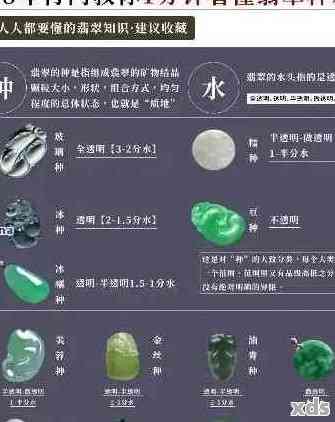 揭秘翡翠手镯价格表：品质决定价格的奥秘，一文掌握翡翠知识