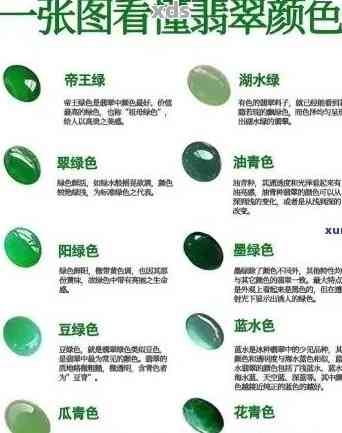 翡翠的品种与等级：揭秘宝石中的瑰宝