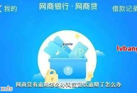 网商贷借钱是6个还是12个那个涨额快